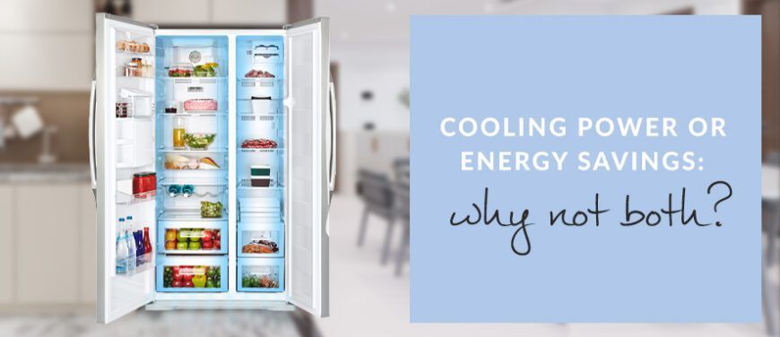 Energy Efficiency vs. Cooling Technology in Fridge